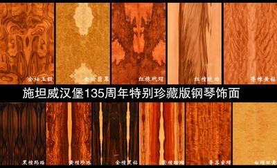 百年品牌——施坦威汉堡135周年特别珍藏版钢琴耀世而生