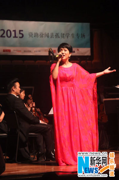 仲夏夜慈善音乐会广东举行 陈明压轴出席