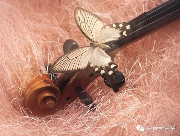 未眠之夜，枕着优雅的经典提琴小品入梦吧！