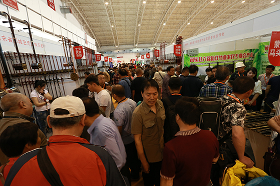 PALM 2016 北京乐器展盛势开幕，有的看