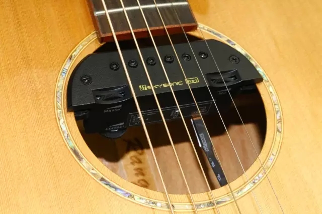 2017广州乐器展展品直击5