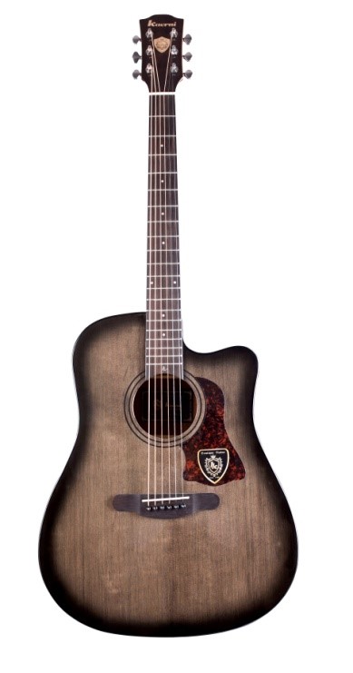 惠州咔尔尼将携咔尔尼品牌吉他出展